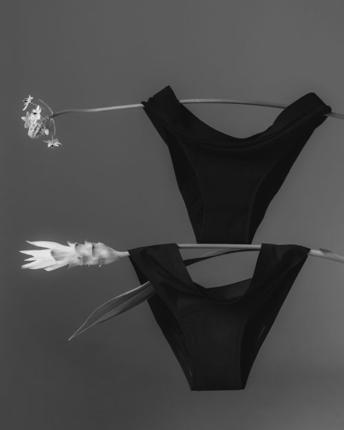 E1U5c1agOCH2fBBmhQxsIpIqnPJnEW6EQxWscaOs